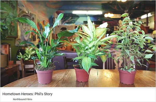Philz three house plants